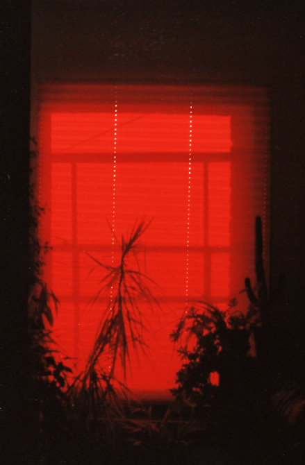 the blood at the heart of vision sunlight through the blind at 52 Portland Road